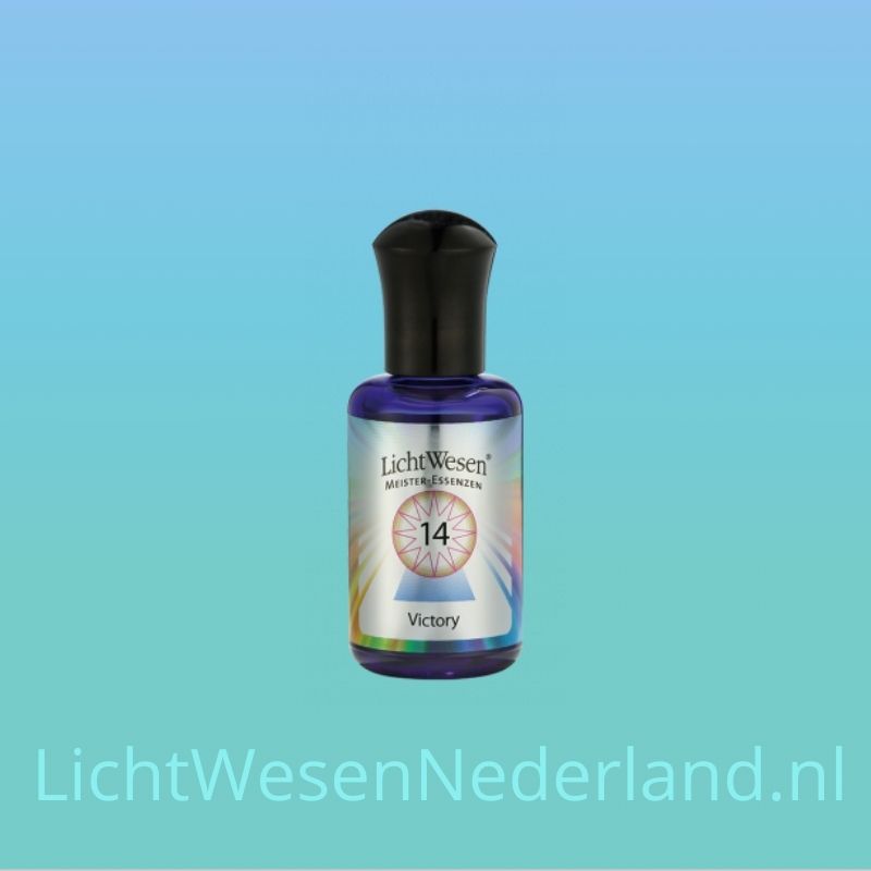 14 olie - LichtWesen Nederland